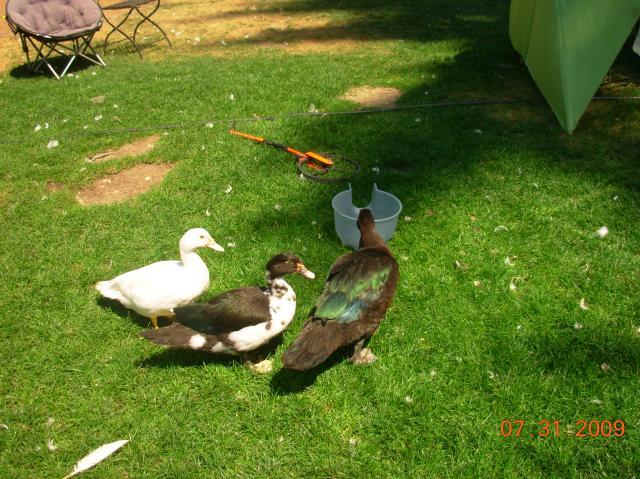 17065_dscn1148.jpg