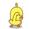 17209_chick.jpg
