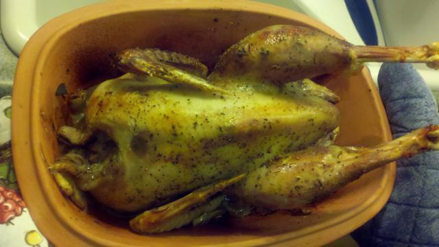 17365_first_roasted_chicken_may_31_2011.jpg
