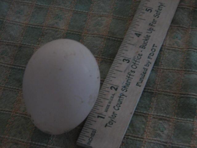 1737_005b.jpg