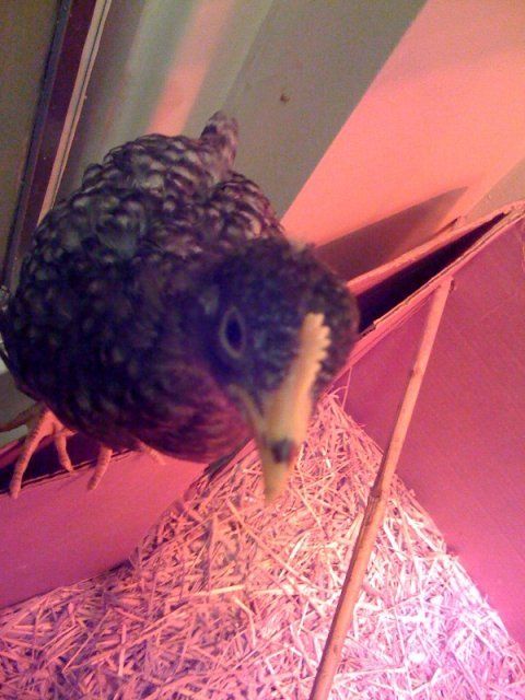 17387_photo.jpg