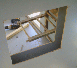 17397_nestboxcutout.gif