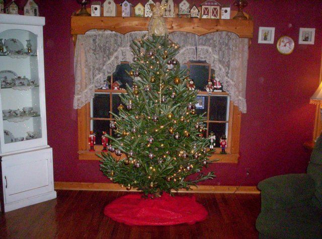 17425_christmas_tree.jpg