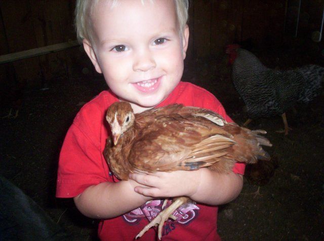 17425_jordan_and_chicken.jpg