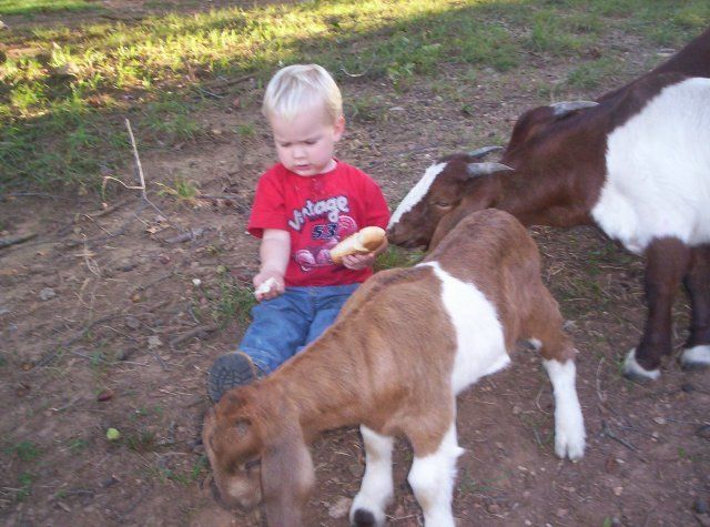 17425_jordan_and_goat.jpg