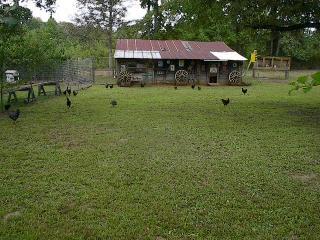 17452_im006291.jpg