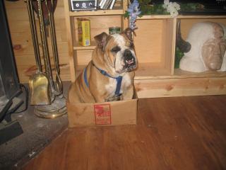 17452_img_10002.jpg