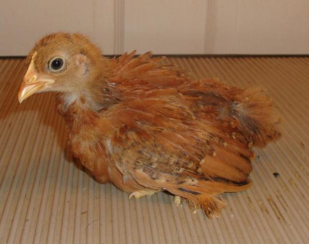17469_6-27-11_032.jpg