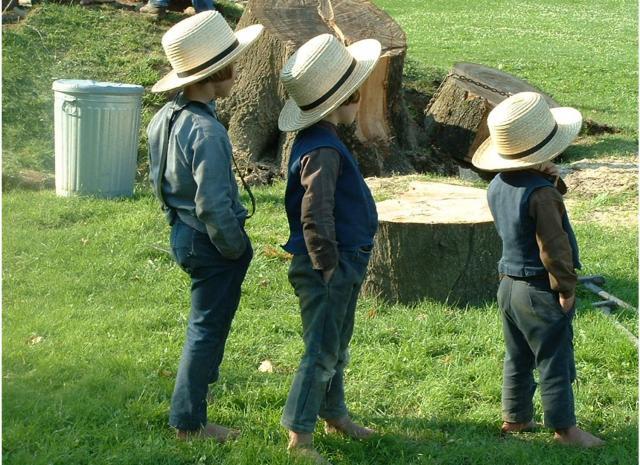 17526_amish_014.jpg