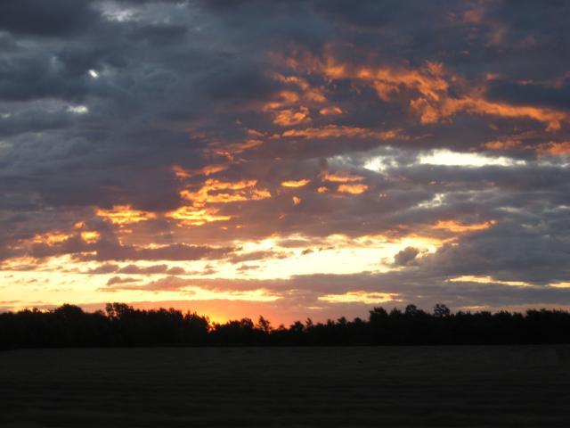 17526_aug2008_038.jpg