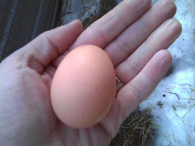 17526_bregg.jpeg