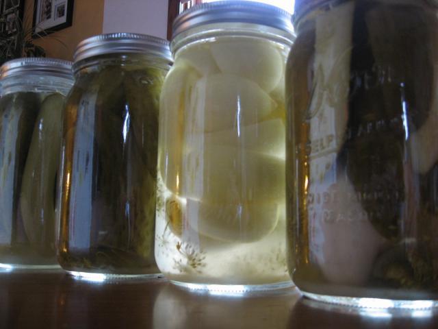17526_img_3741.jpg