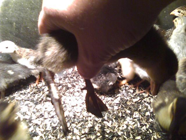 17526_may2010_014.jpeg