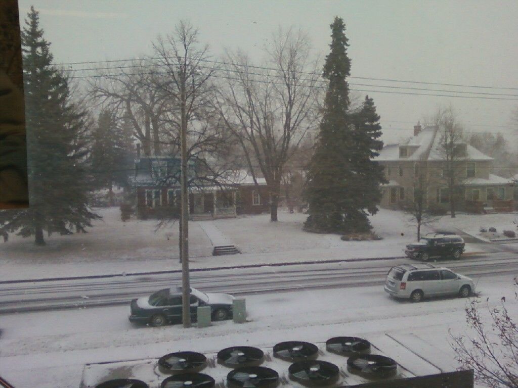 17526_snow2.jpg