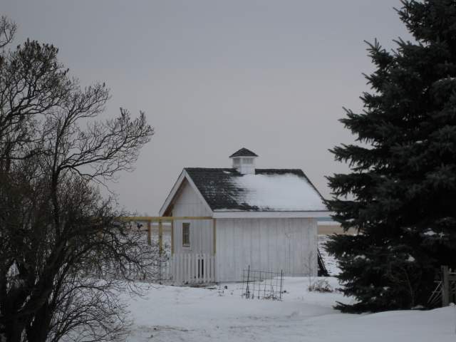 17572_winter_christmas_2008_001.jpg