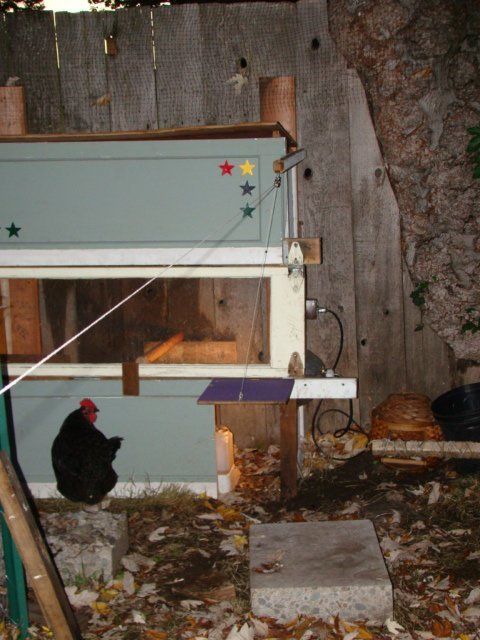 17610_dsc01870.jpg