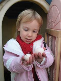 17624_first_eggs.jpg