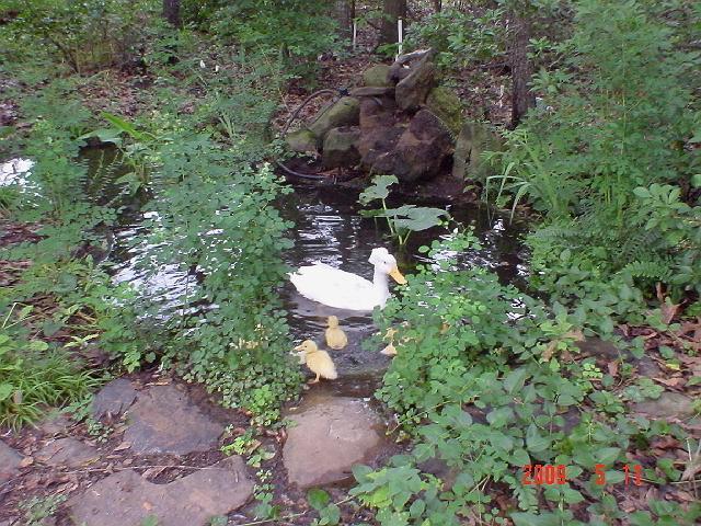 17_dsc01122.jpg