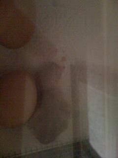 18055_hatching_chicks_001.jpg