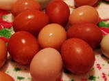 18103_th_maraneggs.jpg