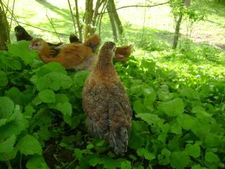 18105_may_14_2009_064.jpg