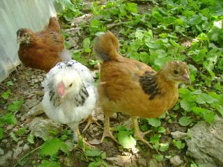 18105_may_14_2009_072.jpg
