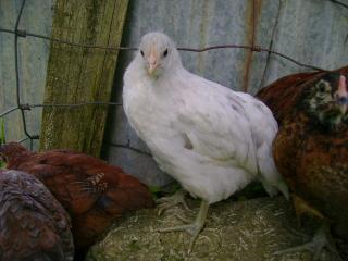 18105_may_14_2009_101.jpg