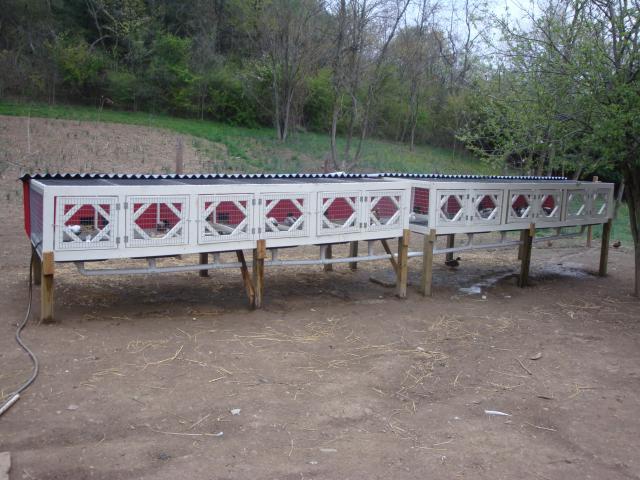 18120_2_duck_breeding_pen_008.jpg