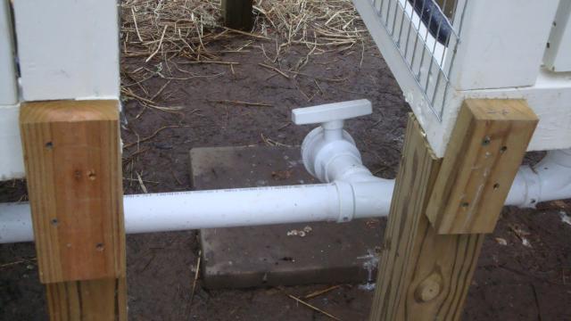 18120_2_duck_breeding_pen_029.jpg