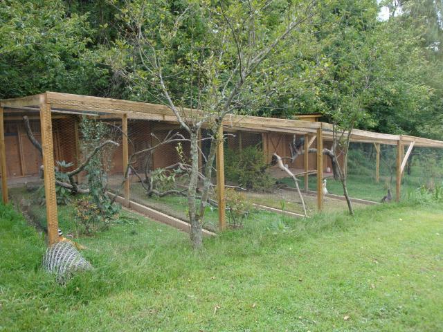 18120_pheasant_pens_002.jpg
