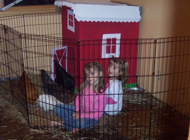 18165_chicken_party_080.jpg