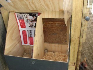 18191_img_1774.jpg