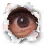 18203_eye6.gif