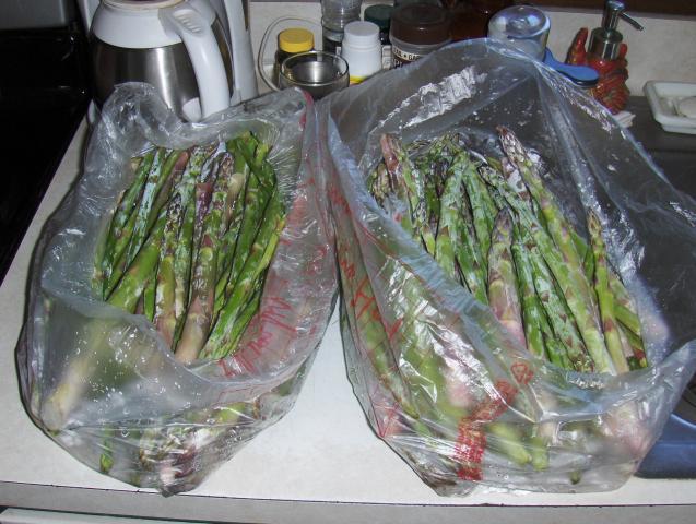 182_0012.jpg