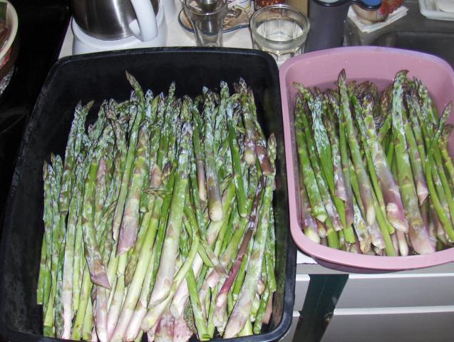 182_0022.jpg