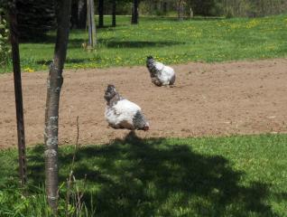 182_hpim0936.jpg