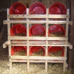 18325_nestingboxes.jpg