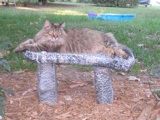18368_diamondbench06b.jpg