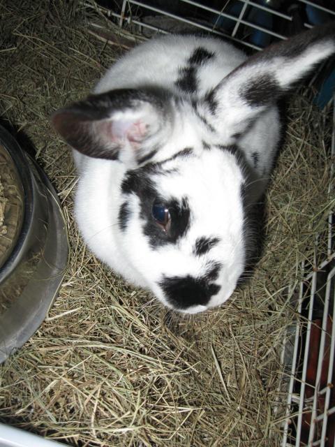 18368_easter_2010_038.jpg