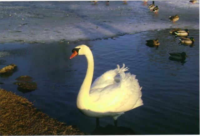 18371_1-2-2010_82149_pm.jpg