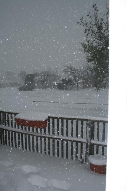 18410_snow_1.jpg
