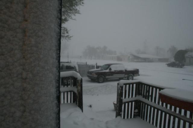 18410_snow_2.jpg