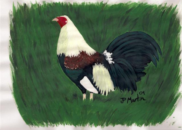 18519_jpsart20001.jpg