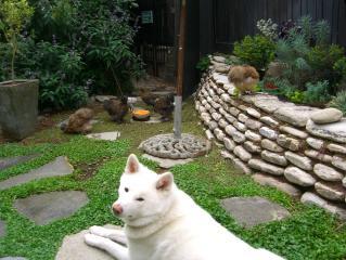18642_cimg3284_copy.jpg