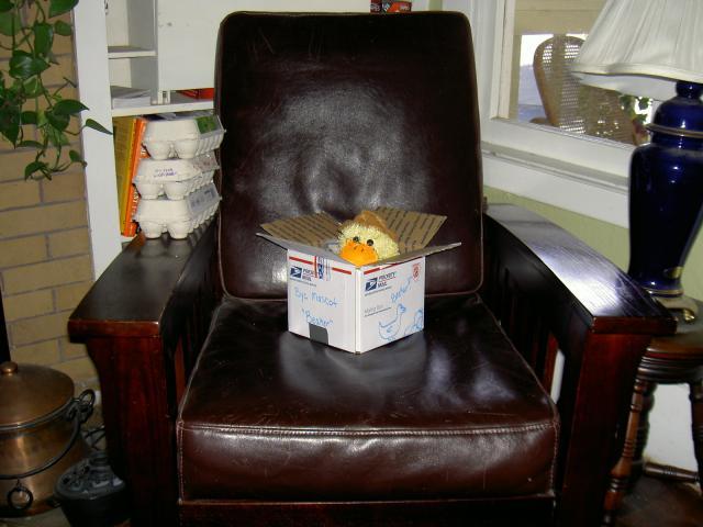 18671_pict2784.jpg