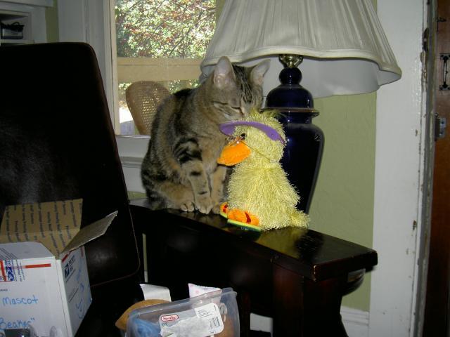 18671_pict2785.jpg