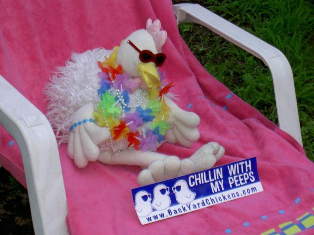 18671_pict3554.jpg