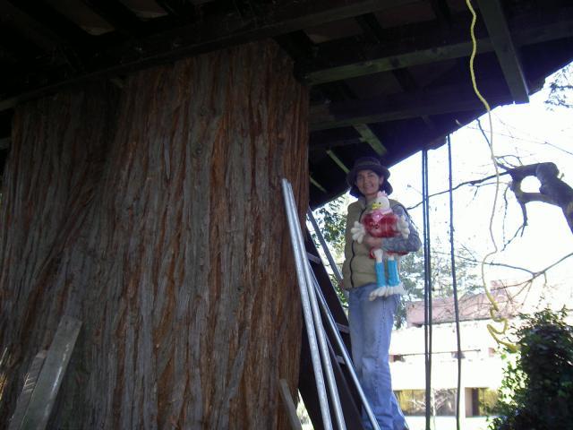 18671_pict3577.jpg