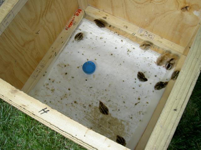 18671_pict4151.jpg