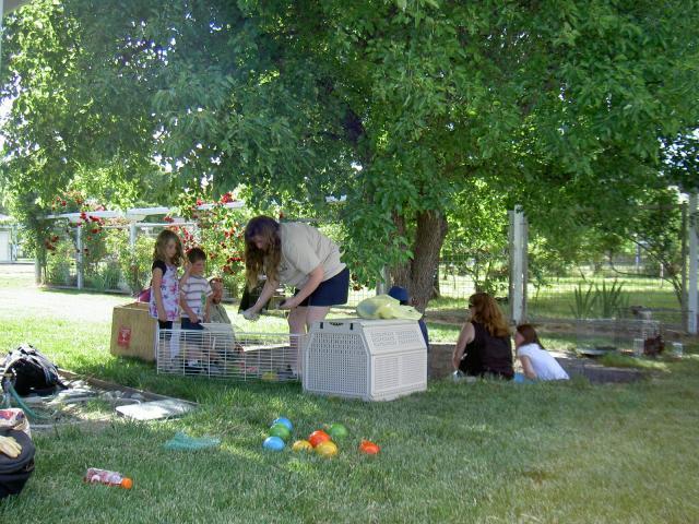 18671_pict4157.jpg